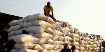 Benin Enhances Production and Export of Soybean Using Bio-fertilizers and Isotopic Technology