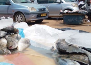 Malawi: Firm laments Covid-19 impact on GDP growth