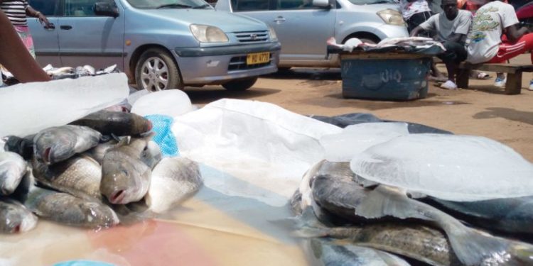 Malawi: Firm laments Covid-19 impact on GDP growth