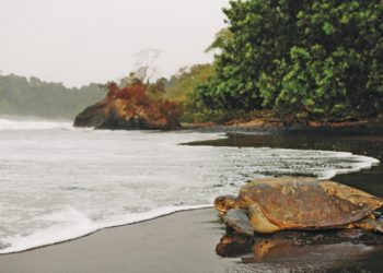Ureca, Equatorial Guinea
