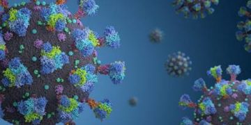 Mauritius Covid-19: No new case over last 13 days