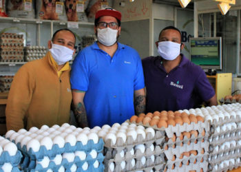 FAO, warns that hunger and fatalities could rise significantly in urban areas