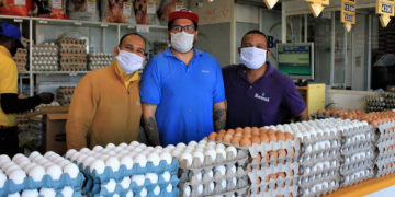 FAO, warns that hunger and fatalities could rise significantly in urban areas