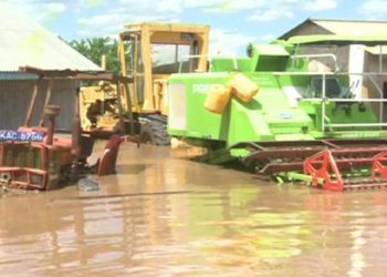 Kenya: Huge losses as floods destroy rice farms