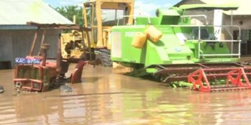 Kenya: Huge losses as floods destroy rice farms
