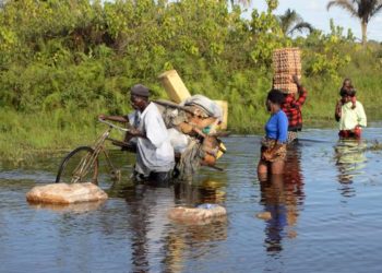Uganda: Experts offer solutions as floods ravage country
