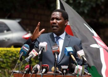 Kenya: Senators claim politics behind maize policy