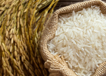 Cairo: Egypt has strategic sufficient rice reserves until October – ministry