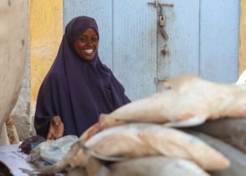 'Men don't trust we're strong enough': Somali women push into fish industry