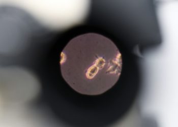 Moscow: 50 Russian military volunteers to test homegrown Covid-19 vaccine