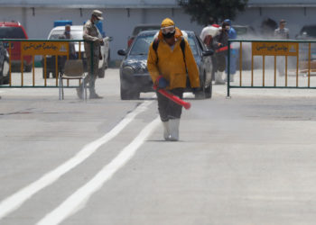 WHO expert says COVID-19 well-established at global level