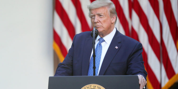 Donald Trump to halt work visas through 2020