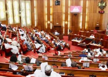 Nigeria: Pro-Buhari group hails PDP senators for role in Senate approval of Buhari’s $5.5bn loan