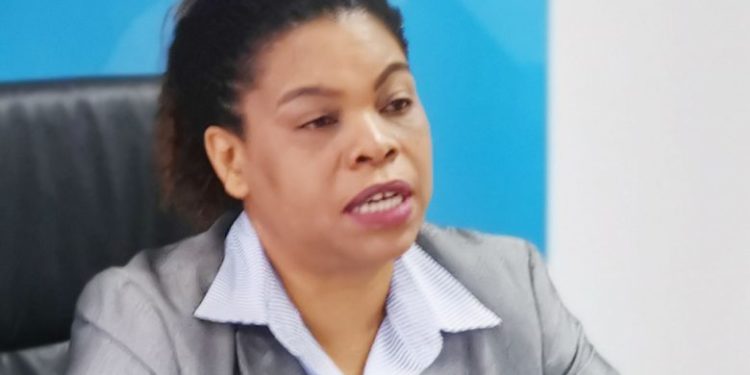 Malawi: Mpatamanga Hydro financier identified