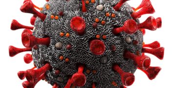 Covid-19: Tsunami looms as Eastern Cape battles shortage of doctors and nurses, warns professor