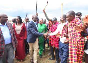 Nairobi: Ruto South Rift allies go silent after Jubilee Party purge in Parliament