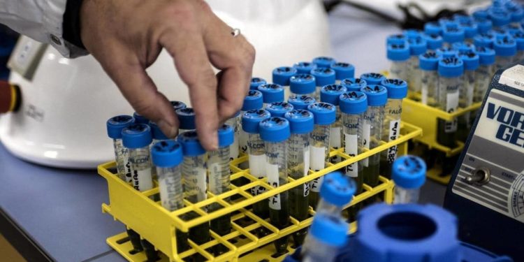 Nigeria: 23 health workers infected as Enugu confirms 22 new cases of COVID-19