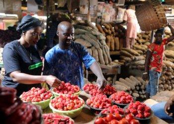Lagos: Nigeria to digitize its smart agriculture program