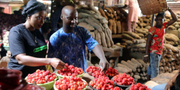 Lagos: Nigeria to digitize its smart agriculture program