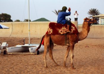 Only 26.1% of Moroccans Plan to Travel After State of Emergency Ends