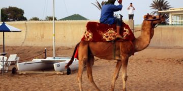 Only 26.1% of Moroccans Plan to Travel After State of Emergency Ends