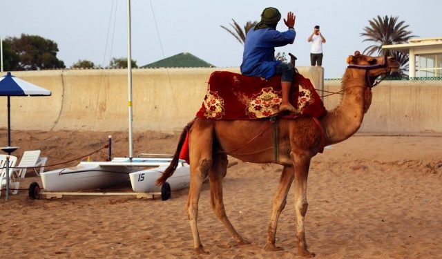 Only 26.1% of Moroccans Plan to Travel After State of Emergency Ends