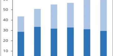 Malawi: World Bank warns over debt distress