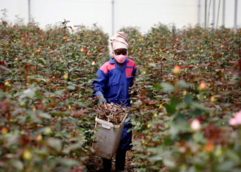 Africa needs to explore, expand 'blue economy'