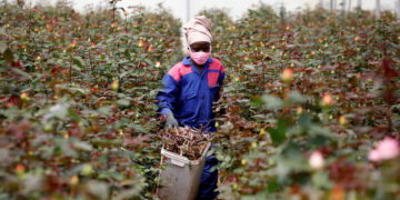 Africa needs to explore, expand 'blue economy'