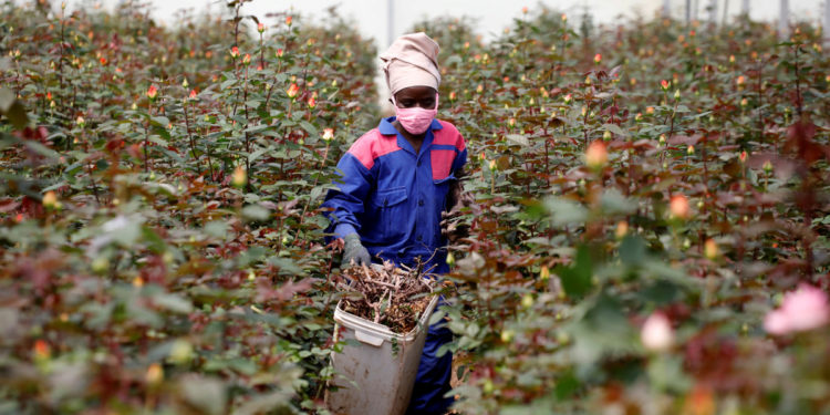 Africa needs to explore, expand 'blue economy'