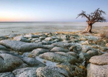 Botswana Travel Guide: Facts and Information