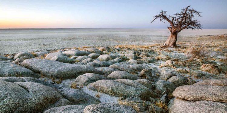 Botswana Travel Guide: Facts and Information