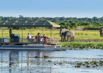 Chobe National Park, The Complete Guide