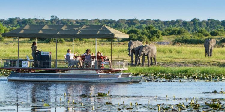 Chobe National Park, The Complete Guide
