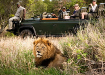 Kruger National Park Complete Guide, South Africa