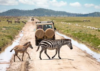 Serengeti National Park, Tanzania: Complete Guide