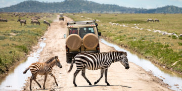Serengeti National Park, Tanzania: Complete Guide