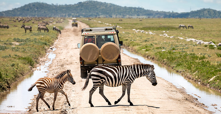 Serengeti National Park, Tanzania: Complete Guide