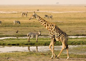 The Best Time to Visit Botswana, Weather in Botswana