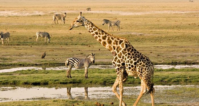 The Best Time to Visit Botswana, Weather in Botswana