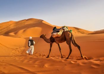 Weather in Morocco: Climate, Seasons and Average Temperature