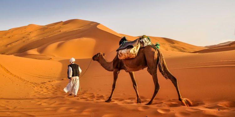 Weather in Morocco: Climate, Seasons and Average Temperature