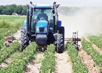 Malawi: Fresh calls for diversification