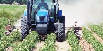 Malawi: Fresh calls for diversification