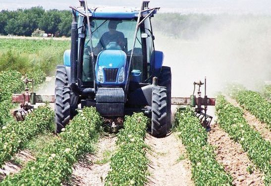 Malawi: Fresh calls for diversification