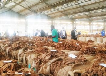 ‘Import cover under threat’