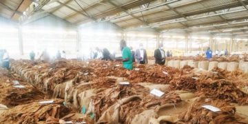 ‘Import cover under threat’