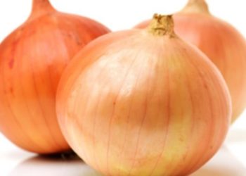 Egypt's onion exports rise by 20% in 2 months