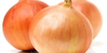 Egypt's onion exports rise by 20% in 2 months