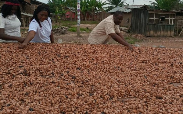Ghana: Centre for Child Protection creating opportunities for women in agribusiness
